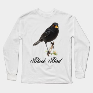 a British black bird perched on a branch Long Sleeve T-Shirt